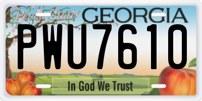 GA license plate PWU7610