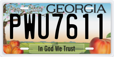 GA license plate PWU7611