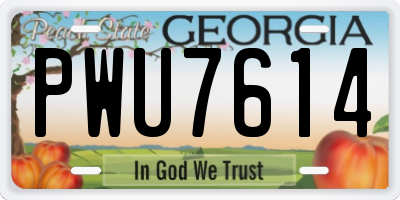 GA license plate PWU7614