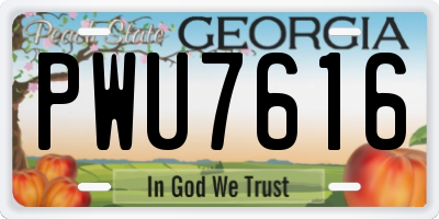 GA license plate PWU7616