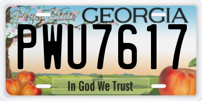GA license plate PWU7617