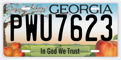 GA license plate PWU7623
