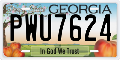 GA license plate PWU7624