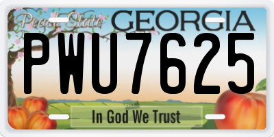 GA license plate PWU7625