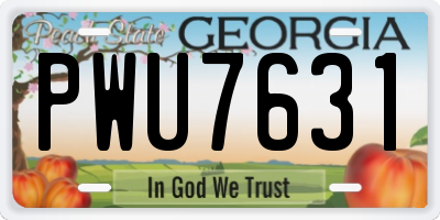 GA license plate PWU7631
