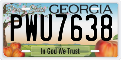 GA license plate PWU7638