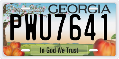 GA license plate PWU7641