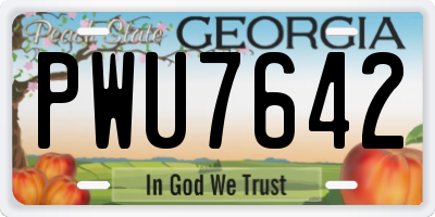 GA license plate PWU7642