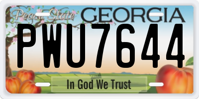 GA license plate PWU7644
