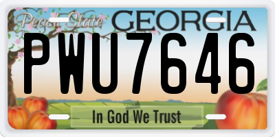 GA license plate PWU7646
