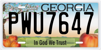 GA license plate PWU7647