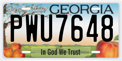 GA license plate PWU7648