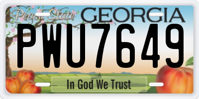 GA license plate PWU7649