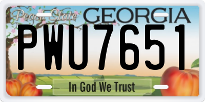 GA license plate PWU7651