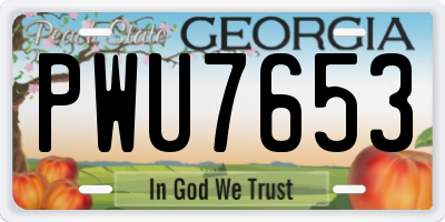 GA license plate PWU7653