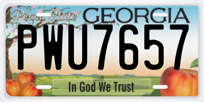 GA license plate PWU7657