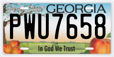GA license plate PWU7658