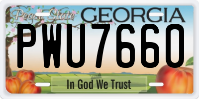GA license plate PWU7660