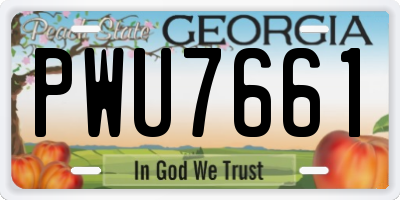 GA license plate PWU7661