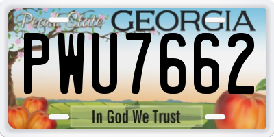 GA license plate PWU7662