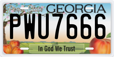 GA license plate PWU7666