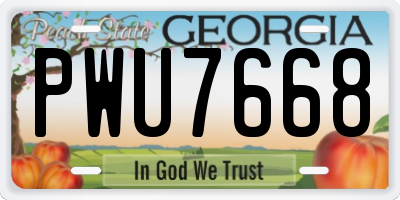 GA license plate PWU7668