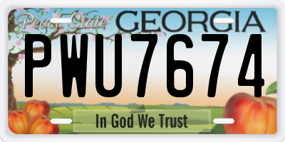 GA license plate PWU7674