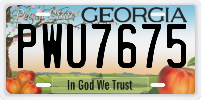 GA license plate PWU7675