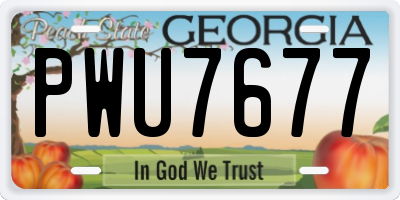 GA license plate PWU7677