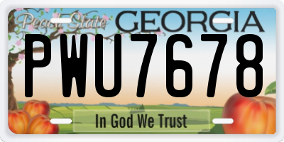 GA license plate PWU7678