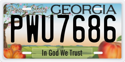 GA license plate PWU7686