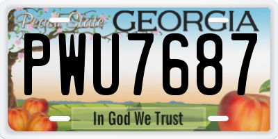GA license plate PWU7687