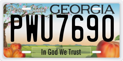 GA license plate PWU7690