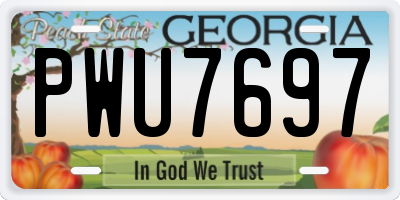 GA license plate PWU7697