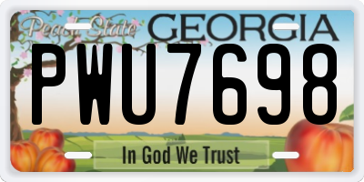 GA license plate PWU7698