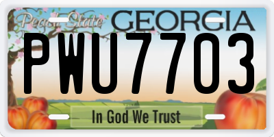 GA license plate PWU7703