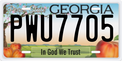 GA license plate PWU7705