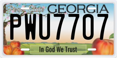 GA license plate PWU7707