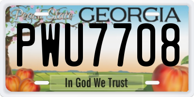 GA license plate PWU7708