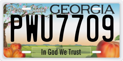 GA license plate PWU7709
