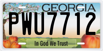 GA license plate PWU7712