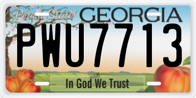 GA license plate PWU7713