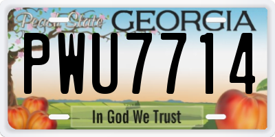 GA license plate PWU7714