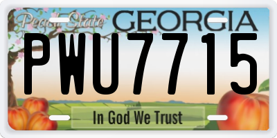 GA license plate PWU7715