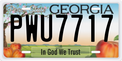 GA license plate PWU7717