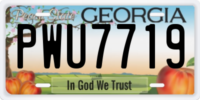 GA license plate PWU7719