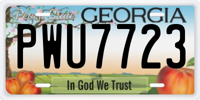 GA license plate PWU7723