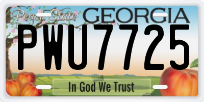 GA license plate PWU7725