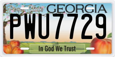 GA license plate PWU7729