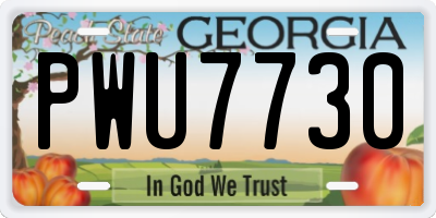 GA license plate PWU7730